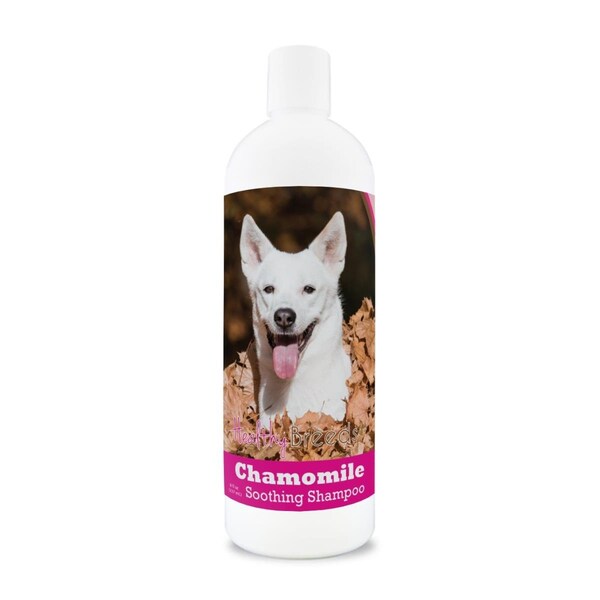 Healthy Breeds 8 oz Canaan Dog Chamomile Soothing Dog Shampoo 192959000634 - main
